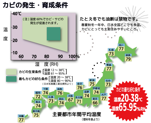 防潮储存是霉菌的大敌